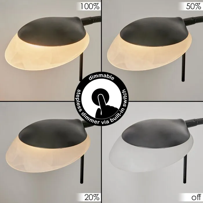 Biot Lampada da terra LED Nero, 2-Luci