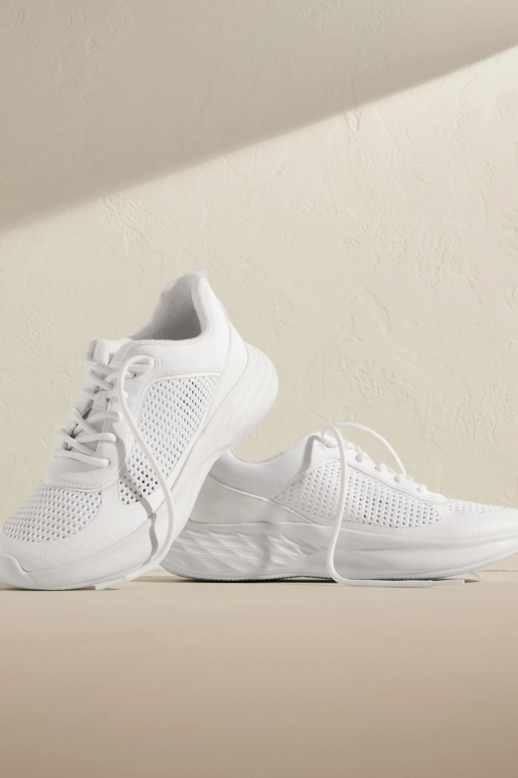 stesso. scarpe da ginnastica Pizzo up    