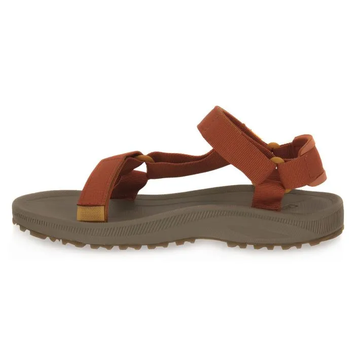 TEVA PCLY WINSTED W
