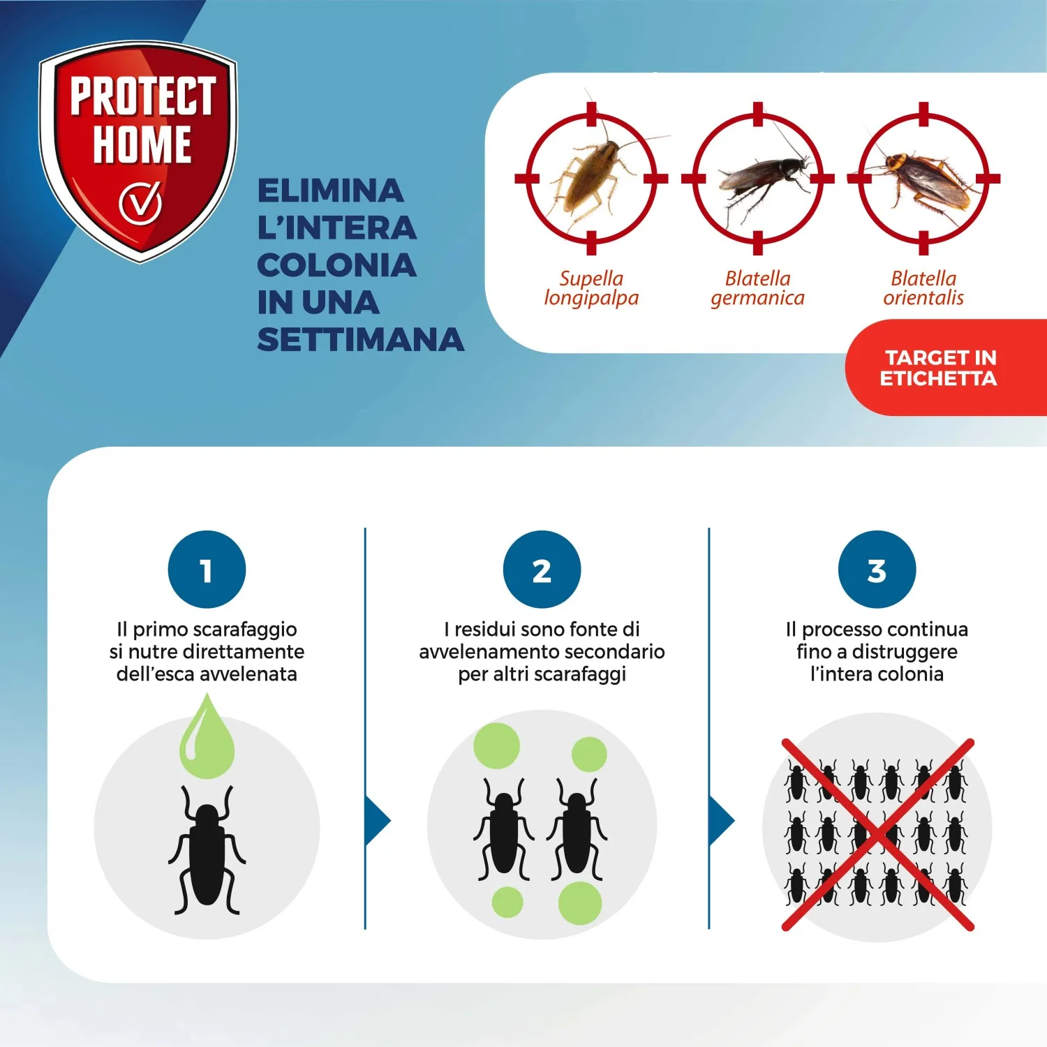 Veleno scarafaggi Protect Home Fastion Gel 20 g